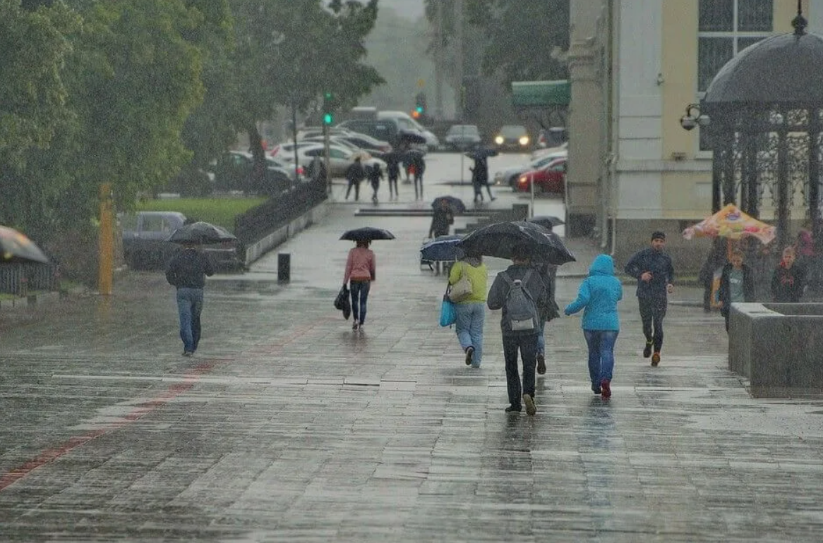 Фото из открытых источников 