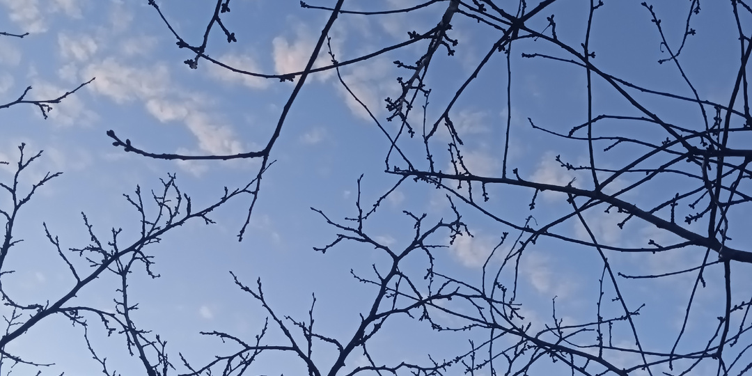 Всякое разное, хорошее.