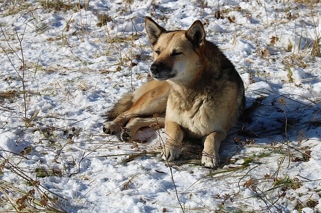    Фото: АиФ/ Евгения Гаева