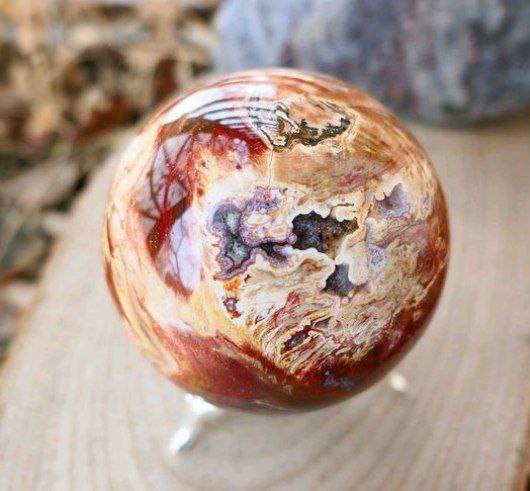 Фото из Интернета.