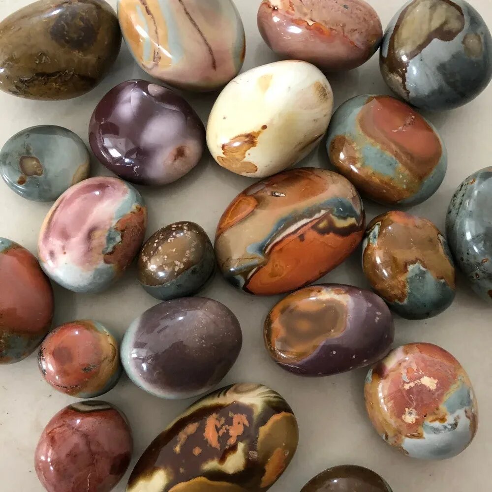 Фото из Интернета.