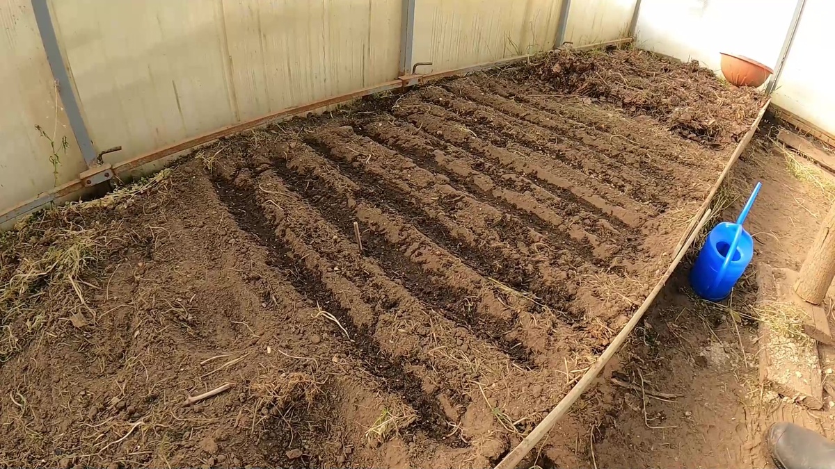 Делаем лунки