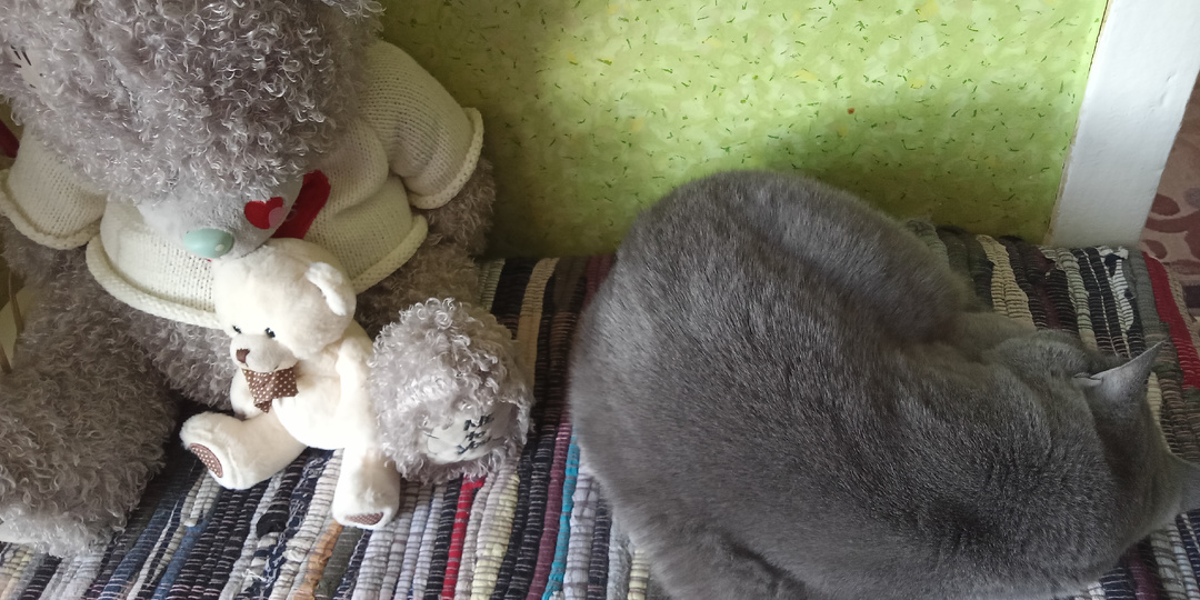 Сменила одну "норку" на другую