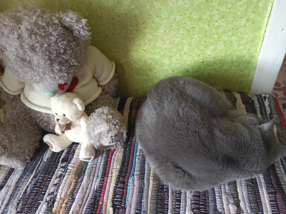 Фото автора 