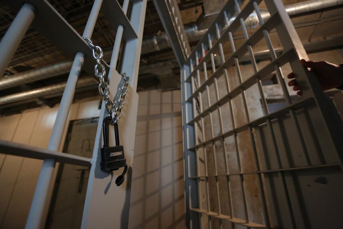 Фото: Дмитрий Фуфаев / «Петербургский дневник»