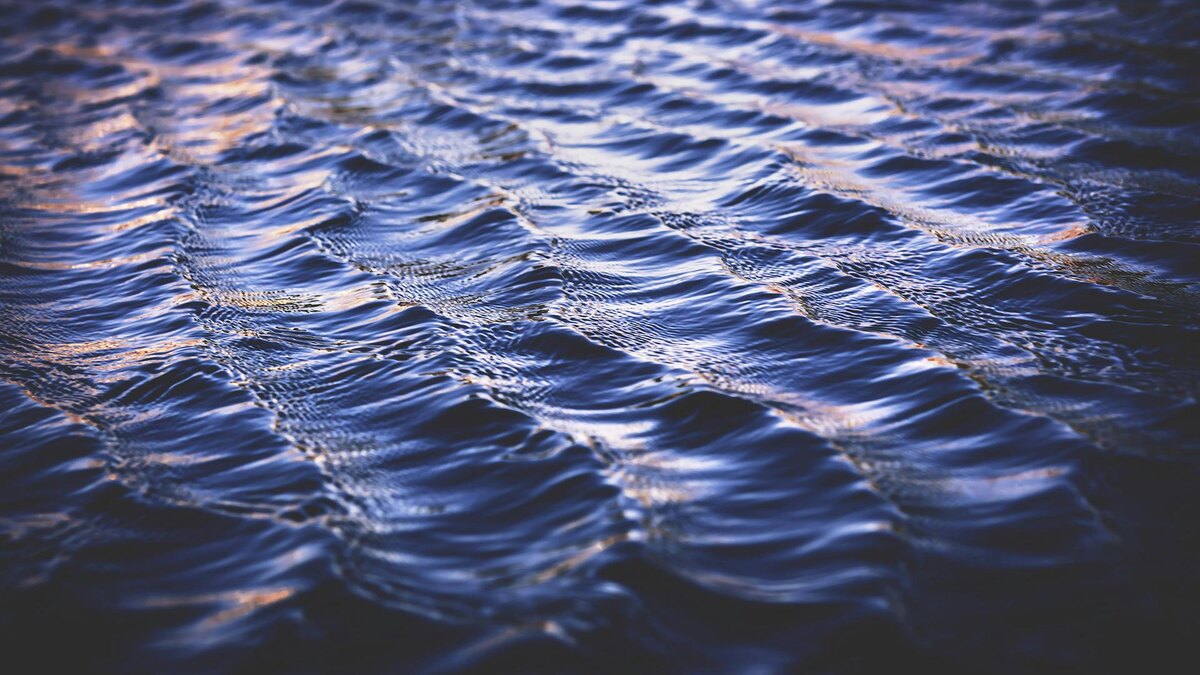    Фото: pexels.com