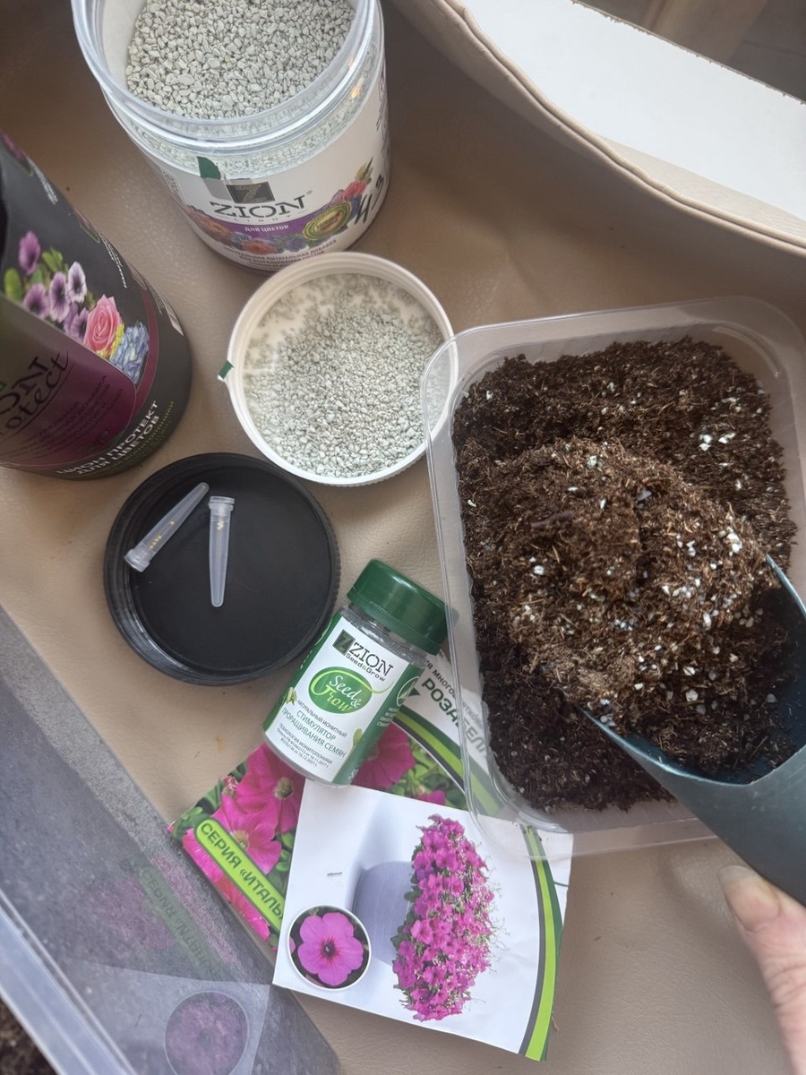 как вырастить петунию