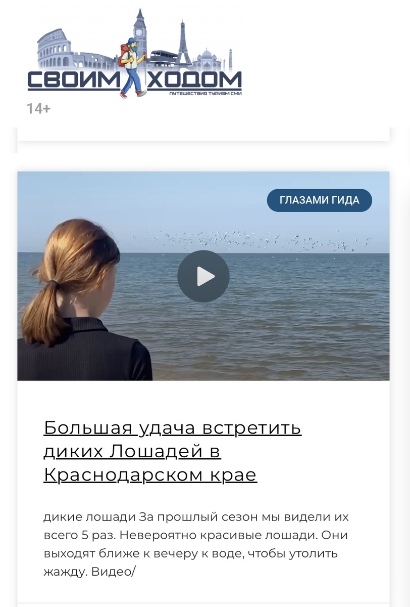 Скрин моей публикации на сайте "Своим ходом" https://своимходом.рф