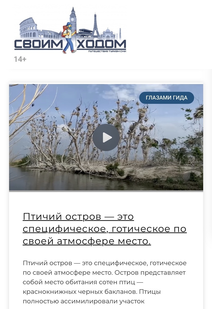Скрин моей публикации на сайте "Своим ходом" https://своимходом.рф