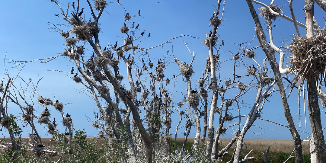 Сезон отпусков не за горами. Начинаем подготовку