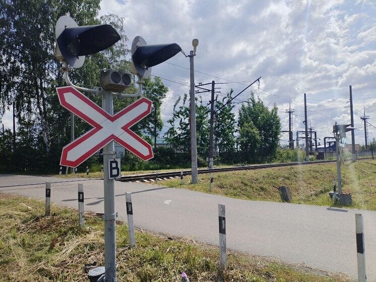     Фото: архив МК в Калининграде.