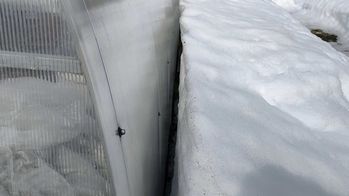 Ращелина между сугробом и теплицей
