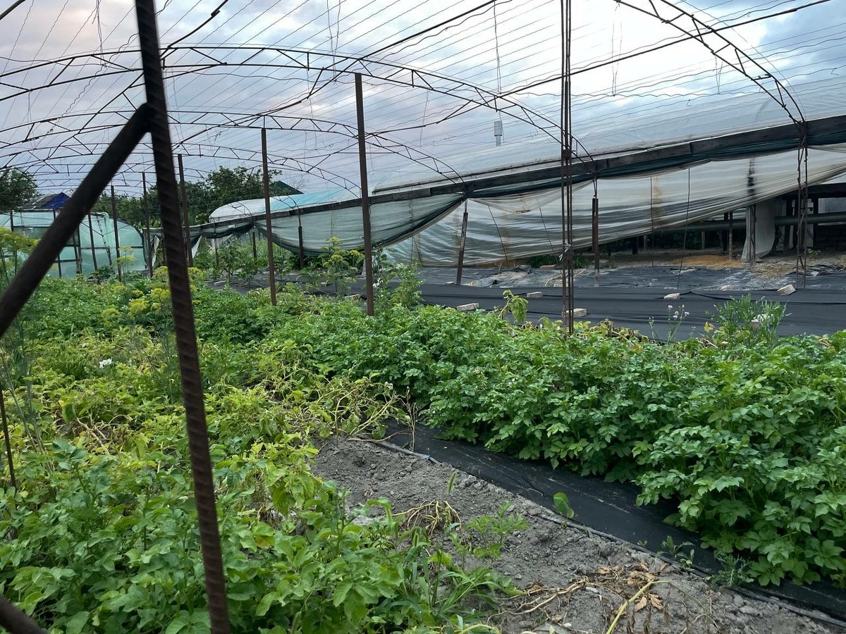    Фото: "Бриф24"