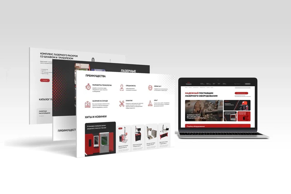 Работа из портфолио Librico
