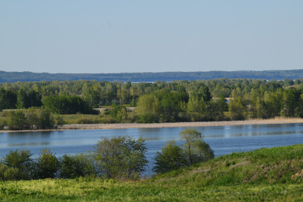 Екатерина Чеснокова/РИА Новости    📷