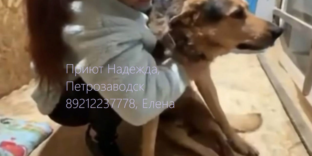 НОВОСТИ ПРИЮТА!