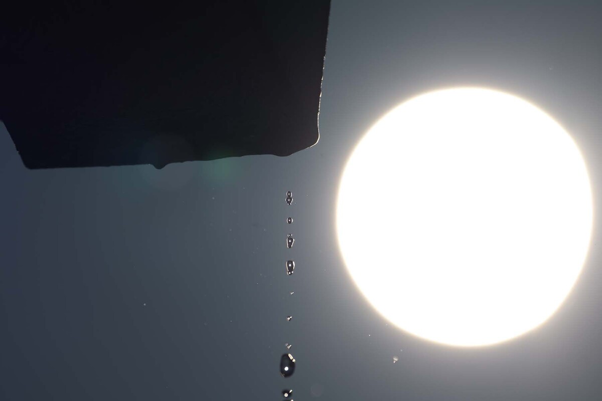  © Павел Орловский, Times.by