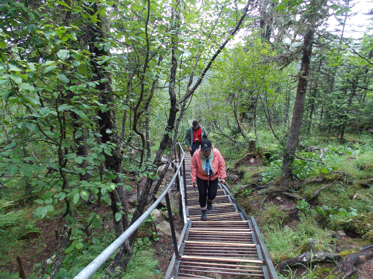 Лестницы кажутся бесконечными