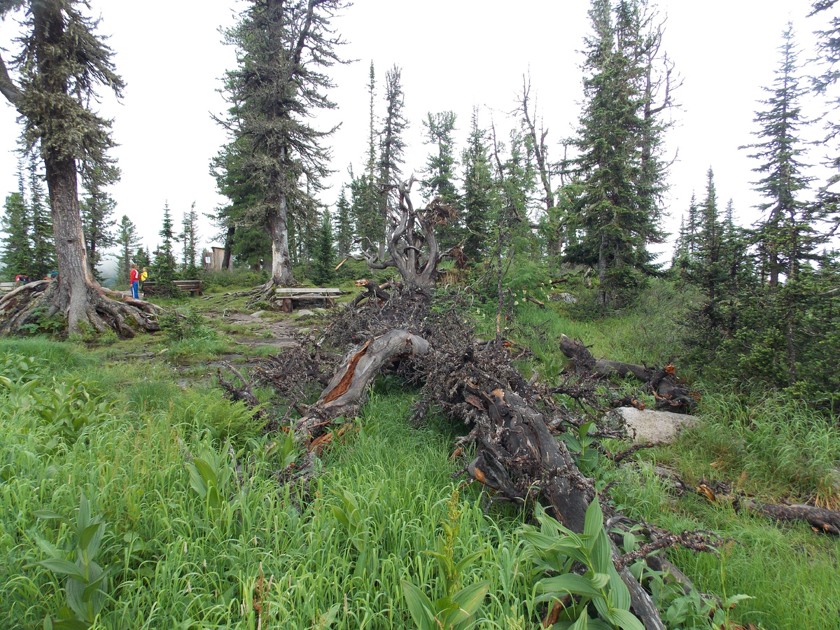 Перевал перекресток