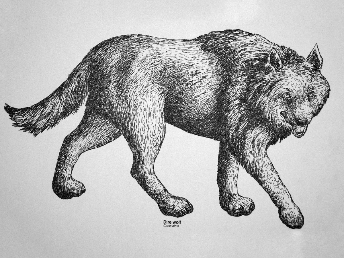 James St. John, CC BY 2.0