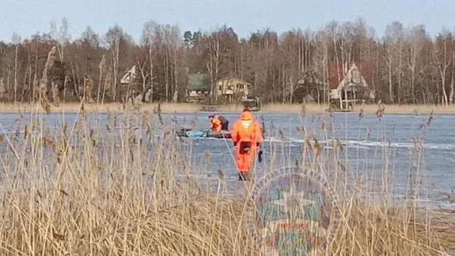 Фото: https://max.ru/id7825437330_gos/AZ0BVPsjQco