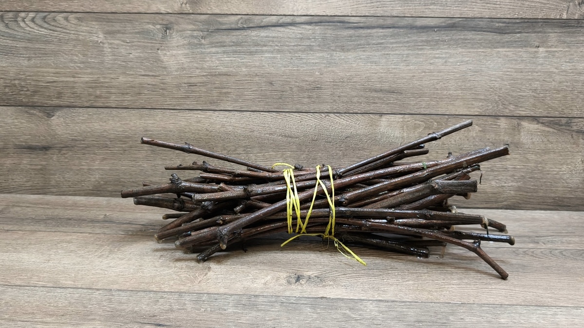 Черенки сразу из колодца.