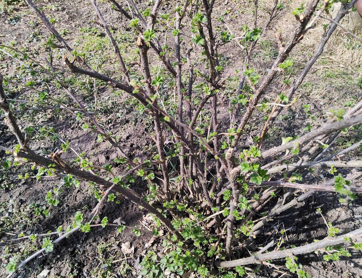 18 марта 2026 года