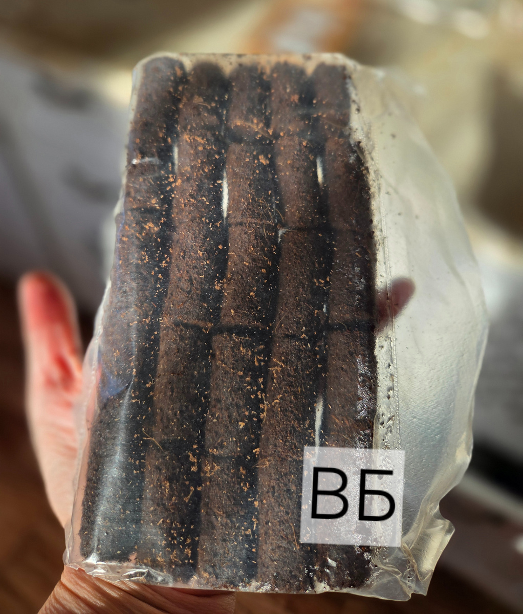 Фото: Зеленая леди, сад, семья и томатный сок 