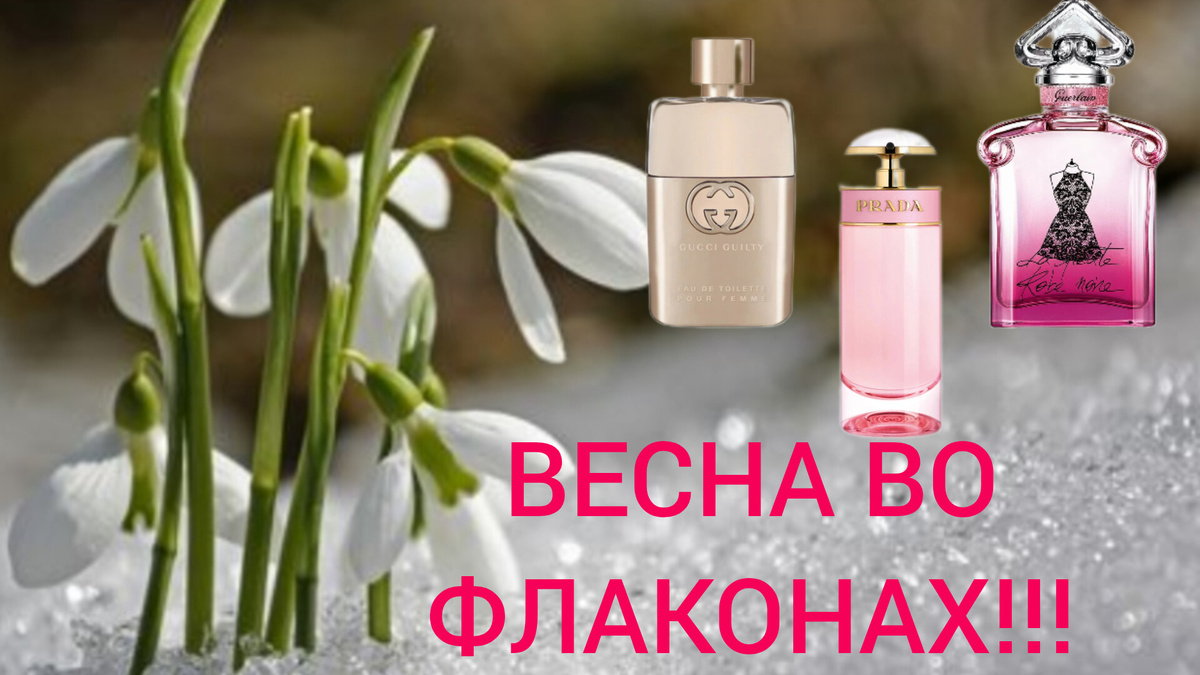 Весна идёт, весне дорога!!!  Решила сделать для Вас, мои дорогие, небольшую подборочку из нескольких ароматов, прекрасно подходящих на это время!

 Gucci Guilty Eau De Toilette- лепестки сирени со свежестью зелени, кислинкой смородины и малины с капелькой ванили и косметически-уходовой кремовостью! Чудо!

 Prada Candy Florale- лепестки пионов с кислинкой цитрусов и  тонкие нотки карамели без излишней приторности! Милота!

 Guerlain La Petite Robe Noire Legere-лепестки розовых роз в зеленом чае и легкая кислинка вишенки!Тонкий, летящий и романтичный! Красота!

У меня эти прелести в  коллекции есть!!!

 Если что то понравилось Вам и захотелось на весну, преобретая в им Рандеву, не забывайте про промокод
10FELENA10, он даёт  дополнительную скидку 10%! Действует при заказе от 2500₽ и суммируется со всеми акциями и скидками магазина!

Мой VK !!!