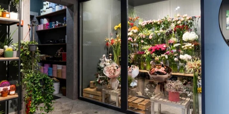 Яндекс. Картинки