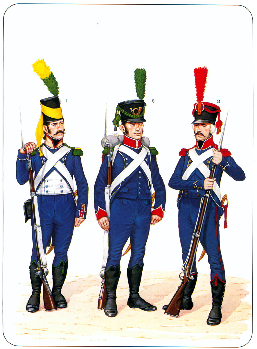1. Вольтижёр 14-го лёгкого полка, 1801 год. 2. Шассёр 1-го лёгкого полка, 1804-1806 годы. 3. Карабинер, 1801 год. Источник: Haythornthwaite P., Napoleon's Light Infantry