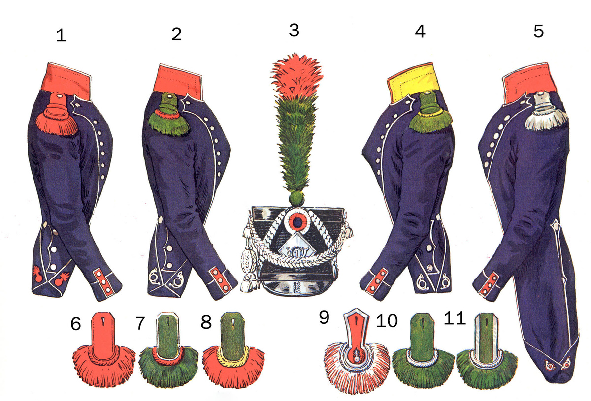 1. Мундир карабинера, 1804-1807 годы. 2. Мундир шассёра, 1807-1809 годы. 3. Кивер шассёра, 1809 год. 4. Мундир вольтижёра, 1809-1812 годы. 5. Мундир офицера 27-го лёгкого полка, 1805-1806 годы. 6. Эполет карабинера. 7. Эполет шассёра. 8. Эполет вольтижёра. 9-10. Эполеты унтер-офицеров. Изображение из открытых источников