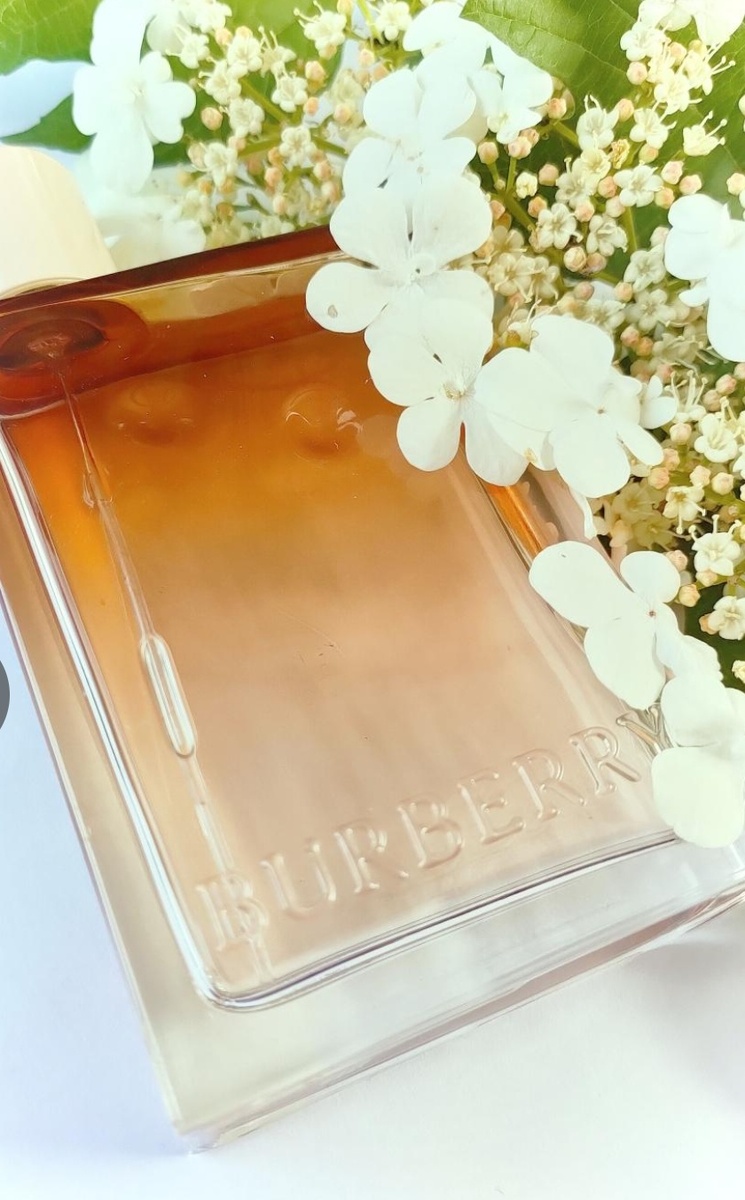 Попал мне в руки пробничек

💫 Burberry Her Intense 💫

Так я и не разобралась, версия ли это 2019 г(нынче снятая с производства) или это версия 2024г!!!

 Неплох, мне понравился!!! Сладко-кисленькие ягоды (почему-то слышу клубнику с малиной) с лепестками жасмина, кремовая  пудра маршмеллоу с легкой смолистостью и древесными нотками!!!

 Вопреки, отзывам на фраге, не слышу в нем бинтов, лишь чуток йодистости, но не отталкивает!!!

 Мягкий, пудровый, женственны!!! Ооочень стойкий и шлейфовый, один пшик слышится часов восемь!!!

Мой VK !!!