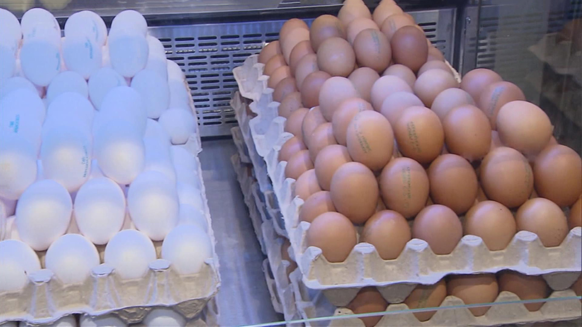    Яйца куриные