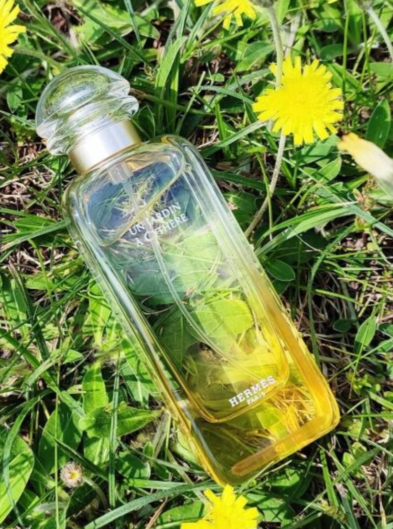 А как мне понравился этот солнечный красавчик, м-м-м!!!
 Творение именитой Christine Nagel !!!

💫 Hermes In Jardin A  Cythere 💫

Со старта отпугнул, будто бы, подсолнечным маслом, но потооом!!!

 Яркие, сочные брызги лимонов, лаймов и апельсинов со свежестью сочной  зелени!!! Так жизнерадостно и позитивно!!!

 Потом вступают в игру лёгкая специевость и ореховость фисташки, делая аромат чуточку кремовым и округлым, но свежесть цитрусовых не исчезает!!! Появляется эффект выпечки!!! Такой классный!!!

 Но стойкости, на пару-тройку часов!!! Хотелось бы подольше наслаждаться этой красотой!!! И шлейф не сильно ощутим,усаживается более интимно!!!

 Но цена на соточку, сейчас очень и очень  доступная, можно и обновлять почаще!!!

Мой VK !!!