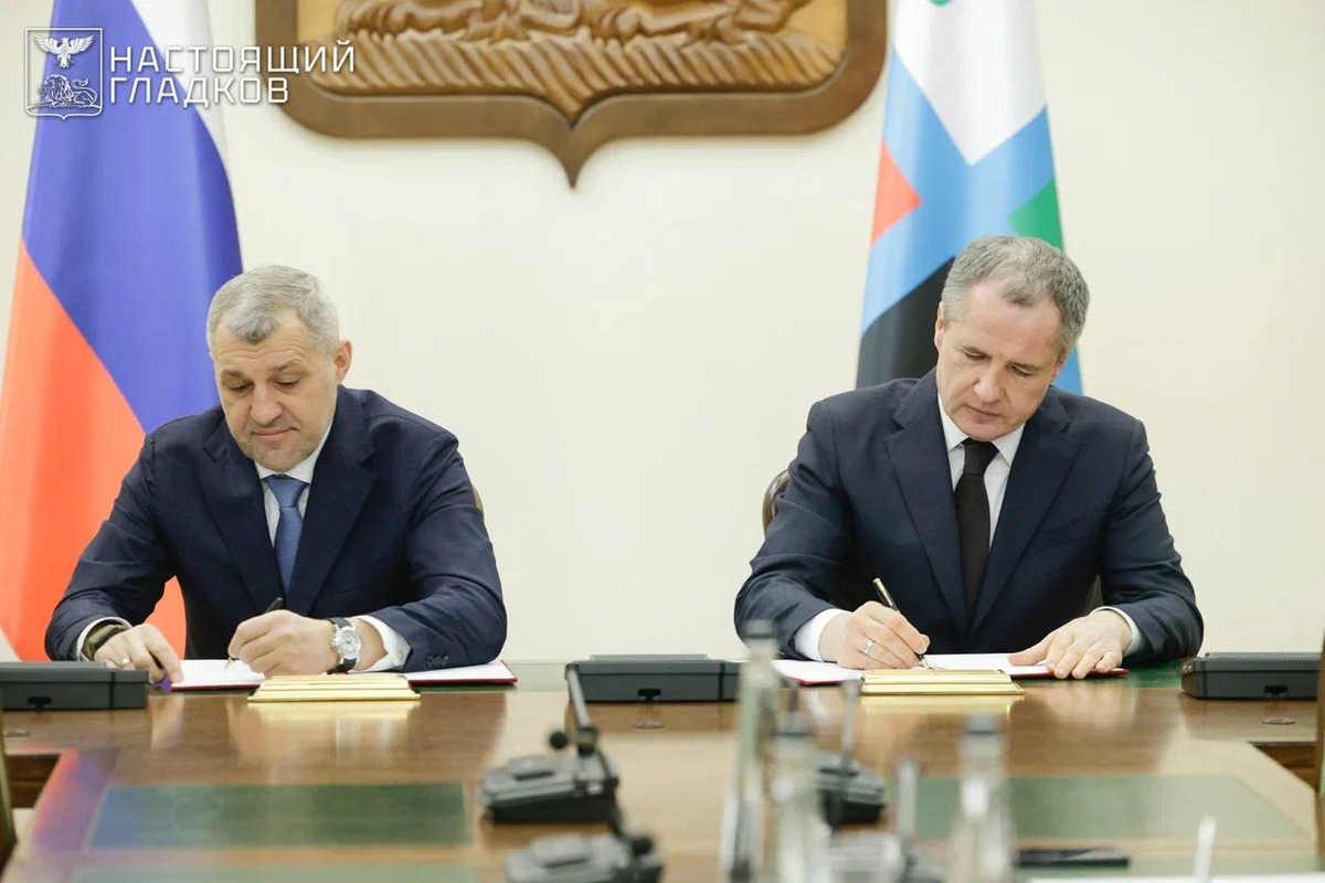    Фото: Правительство Белгородской области, источник: belregion.ru