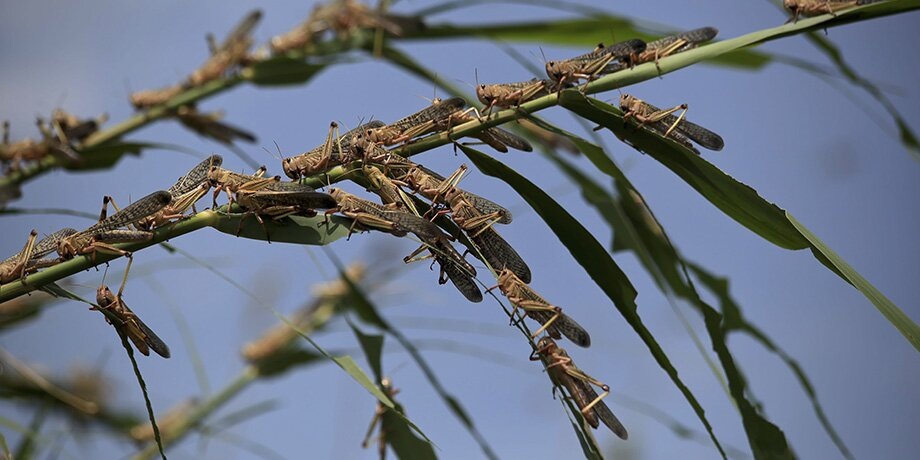    Фото: 123RF.com/astrofey