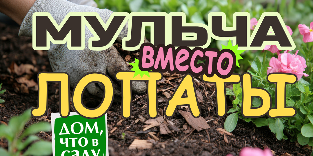 МУЛЬЧА вместо ЛОПАТЫ