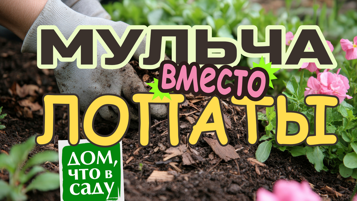 Дом, что в саду