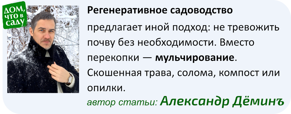 Дом, что в саду