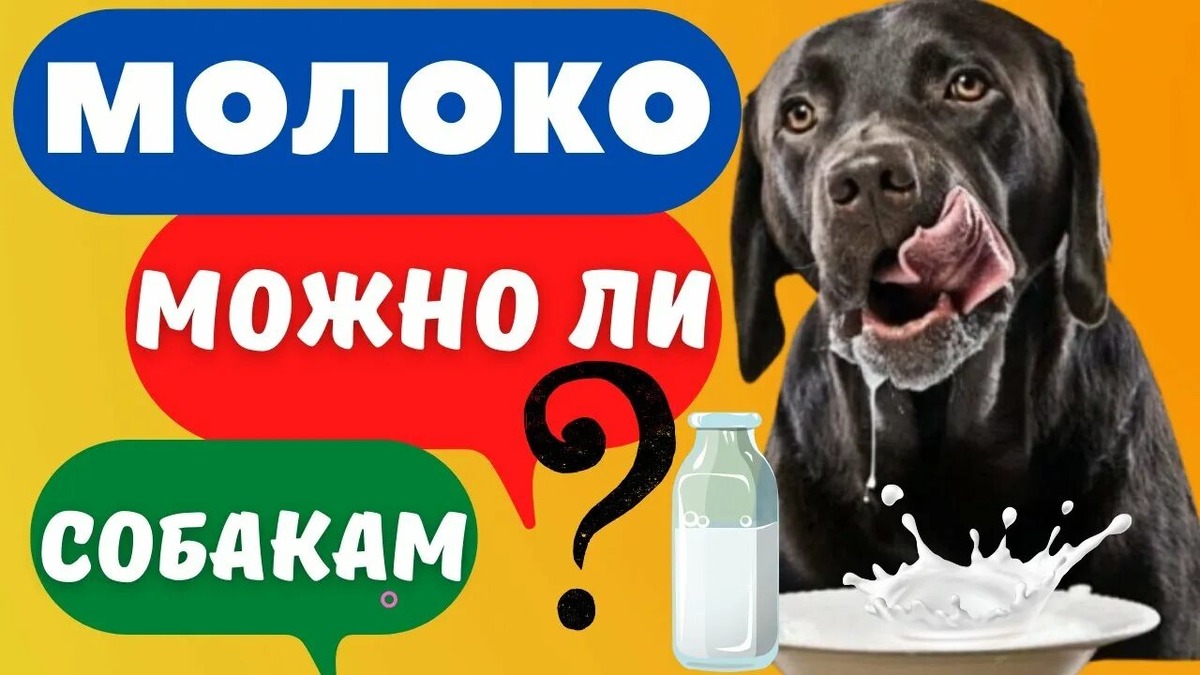 Фотография из интернета