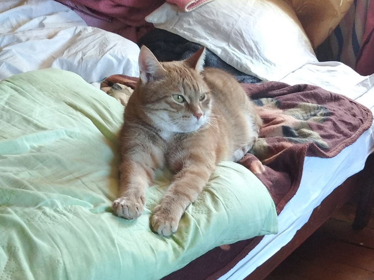 личное фото