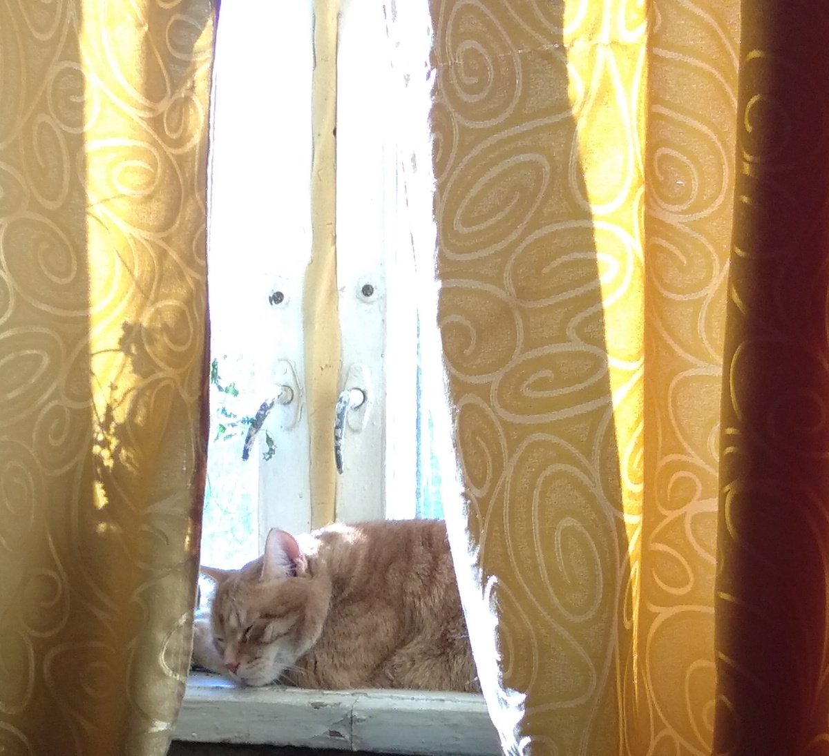 личное фото