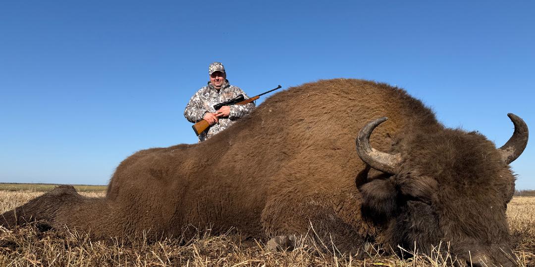 Охота на зубра в Беларуси – есть трофей!