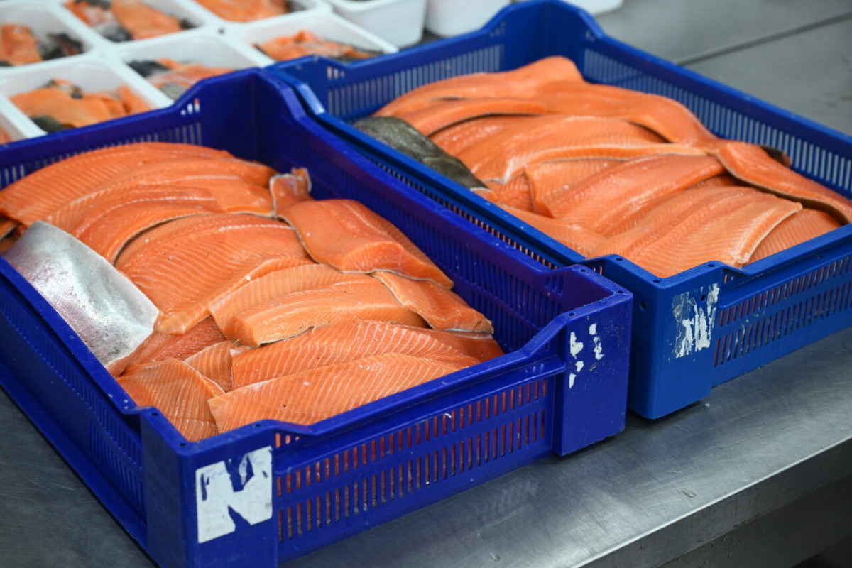    Фото: «Республика»/Сергей Юдин