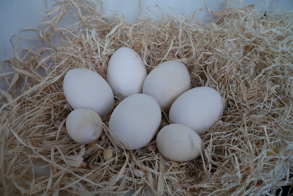 Деревянные заготовки разного размера.