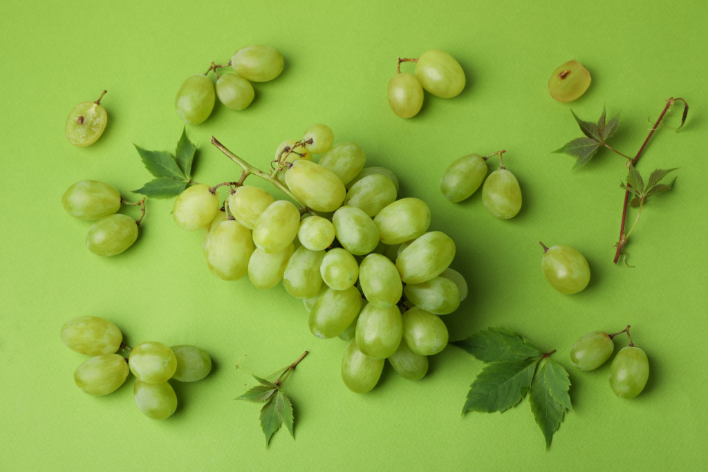 Аринту весьма живуч и хорошо растет там, где другие сорта испытывают трудности
