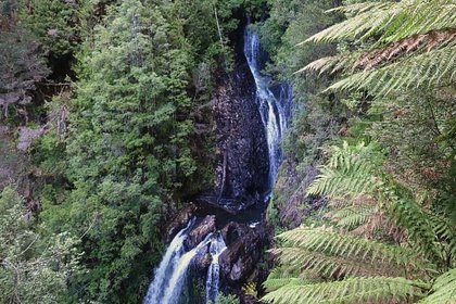 Водопад в тасманийском лесу