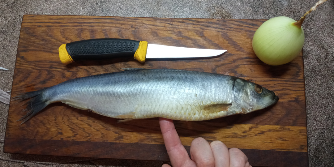 4 веские причины почему из селёдки не получится сварить уху