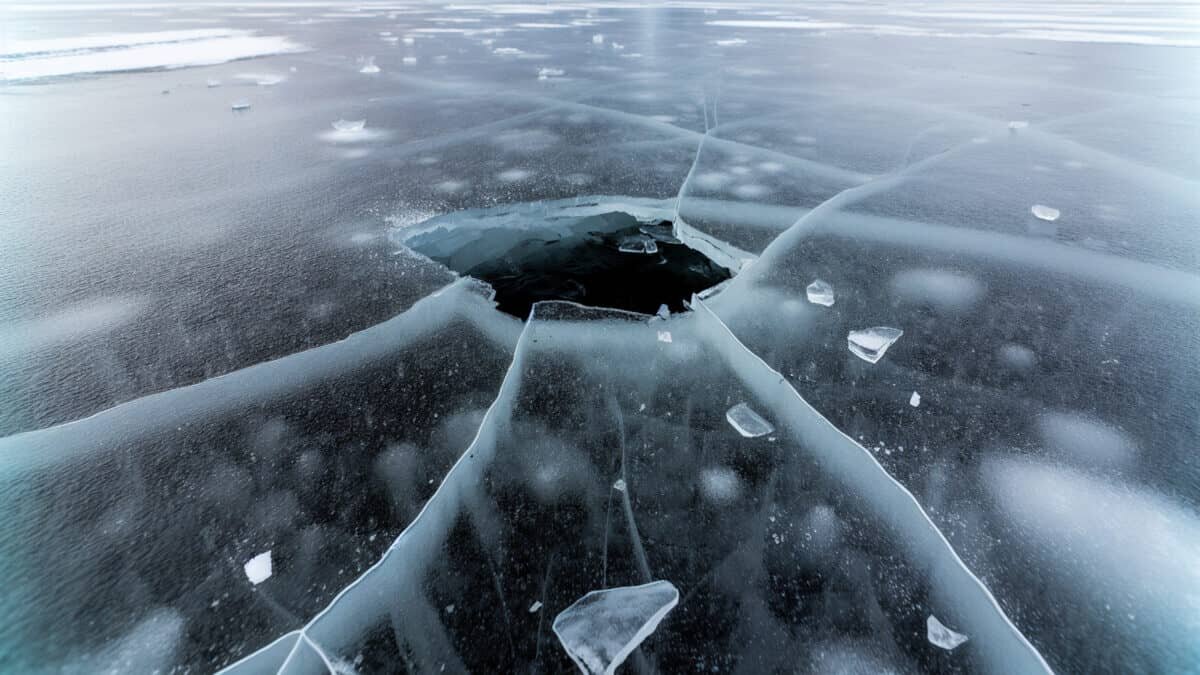    Фото - slanews.ru Елена Пахомова